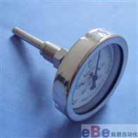 WSS-401/WSS-301轴向型双金属温度计
