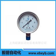 YE-60ZQ膜盒压力表