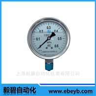 EB-YN-100耐震压力表