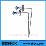 EB5500-B3DS1B2管通式高温型在线密度计厂家供应