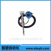 EBRSL-50插入式热式气体质量流量计