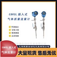 EBRSL-100CD0B2热式气体质量流量计