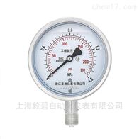 EB-YN-200Z耐震压力表