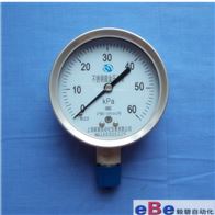 YE-100BF不锈钢膜盒压力表